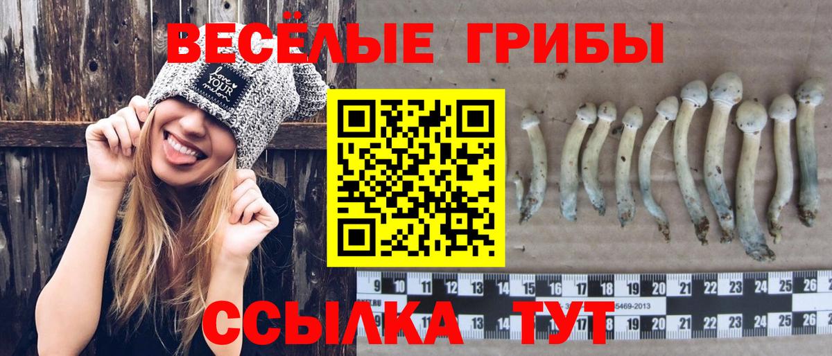 Галлюциногенные грибы прущие грибы Люберцы