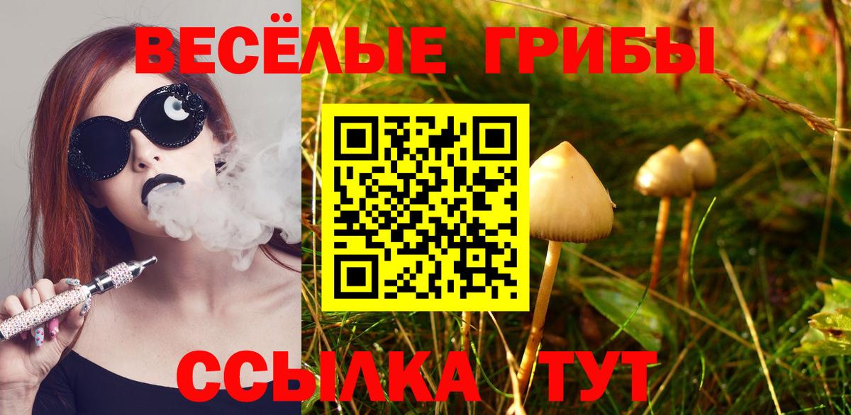 Галлюциногенные грибы Psilocybe  Псилоцибиновые грибы Magic Shrooms  Люберцы  Вход с VPN 